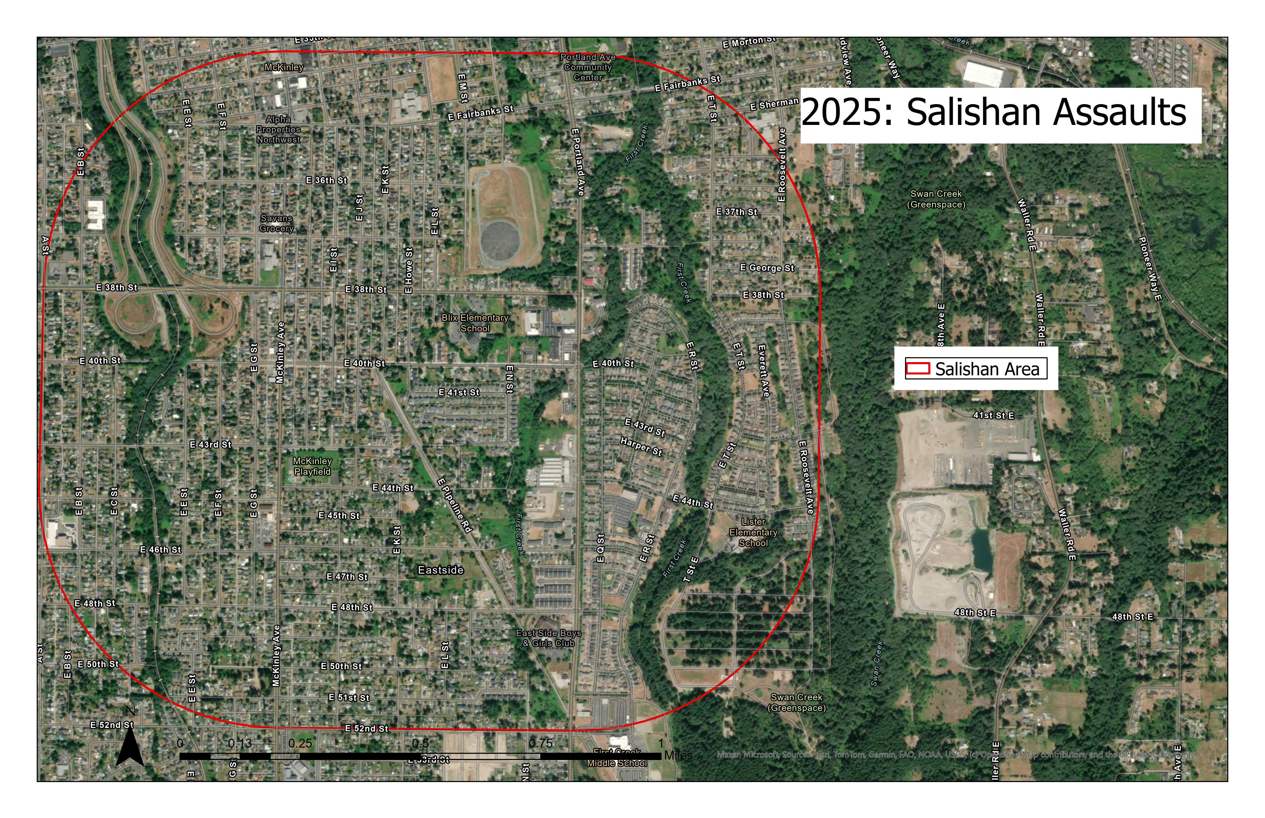 salishan/Salishan_SatelliteView.png